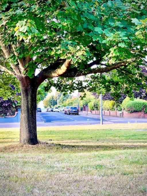 Проживание в семье Avenue_1barnes Westgate-on-Sea